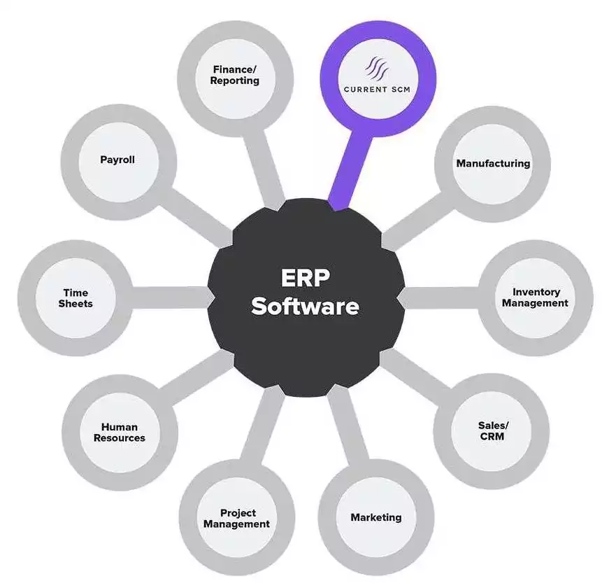 erp software img scm no txt